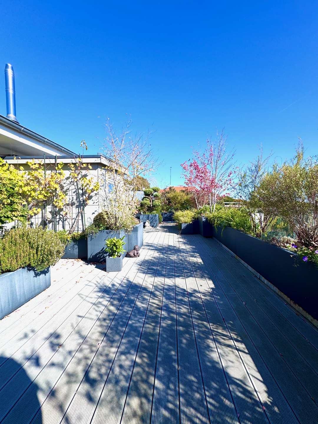 kompletter Dachgarten m. Sauna